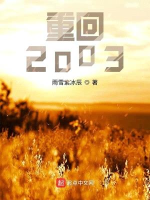 重回2003